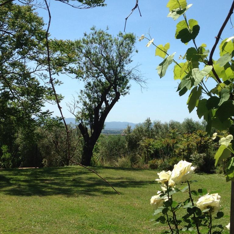 Residenza Santa Maria In Borraccia Acomodação com café da manhã Magliano in Toscana Exterior foto