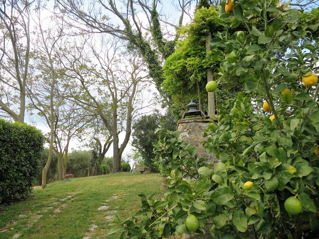 Residenza Santa Maria In Borraccia Acomodação com café da manhã Magliano in Toscana Exterior foto